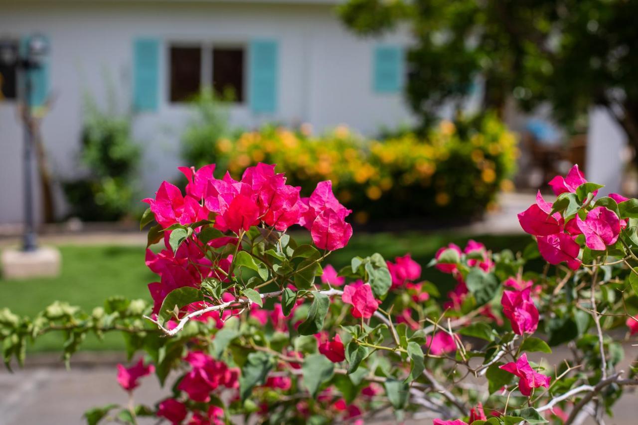 Tuk Tropical Boutique Resort Jan Thiel Willemstad Dış mekan fotoğraf